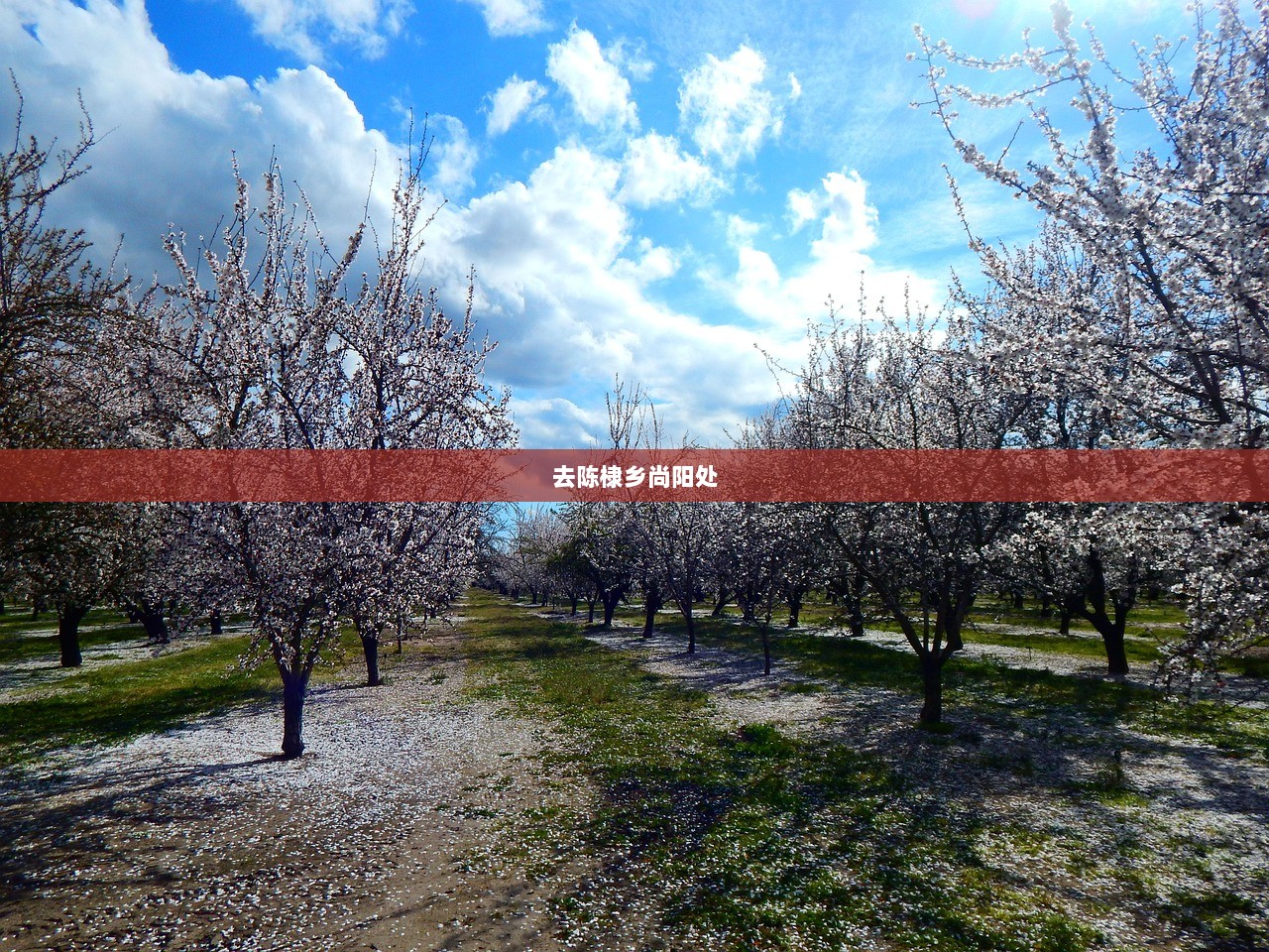 去陈棣乡尚阳处