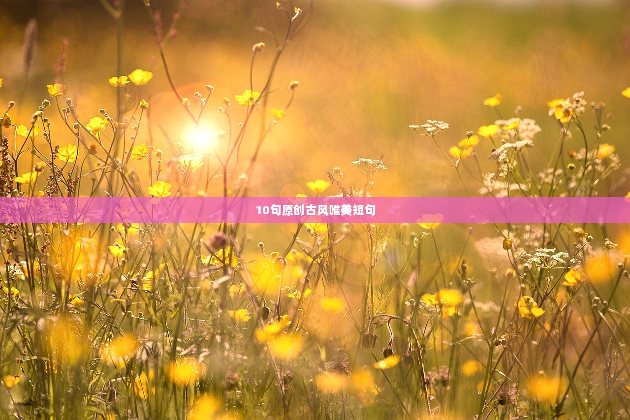 10句原创古风唯美短句 第1张 10句原创古风唯美短句 第1张