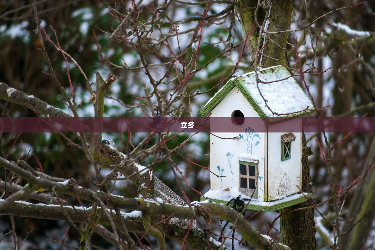 立冬