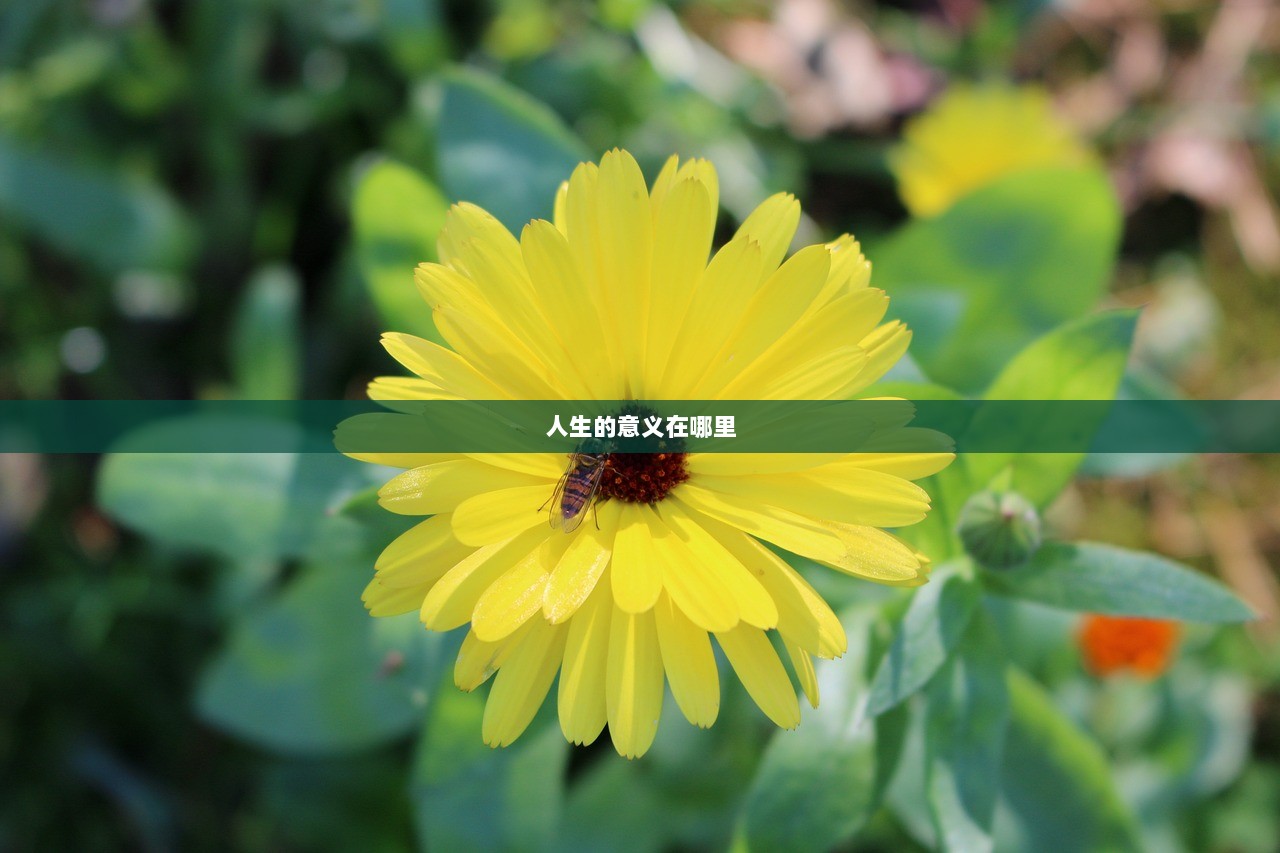 人生的意义在哪里