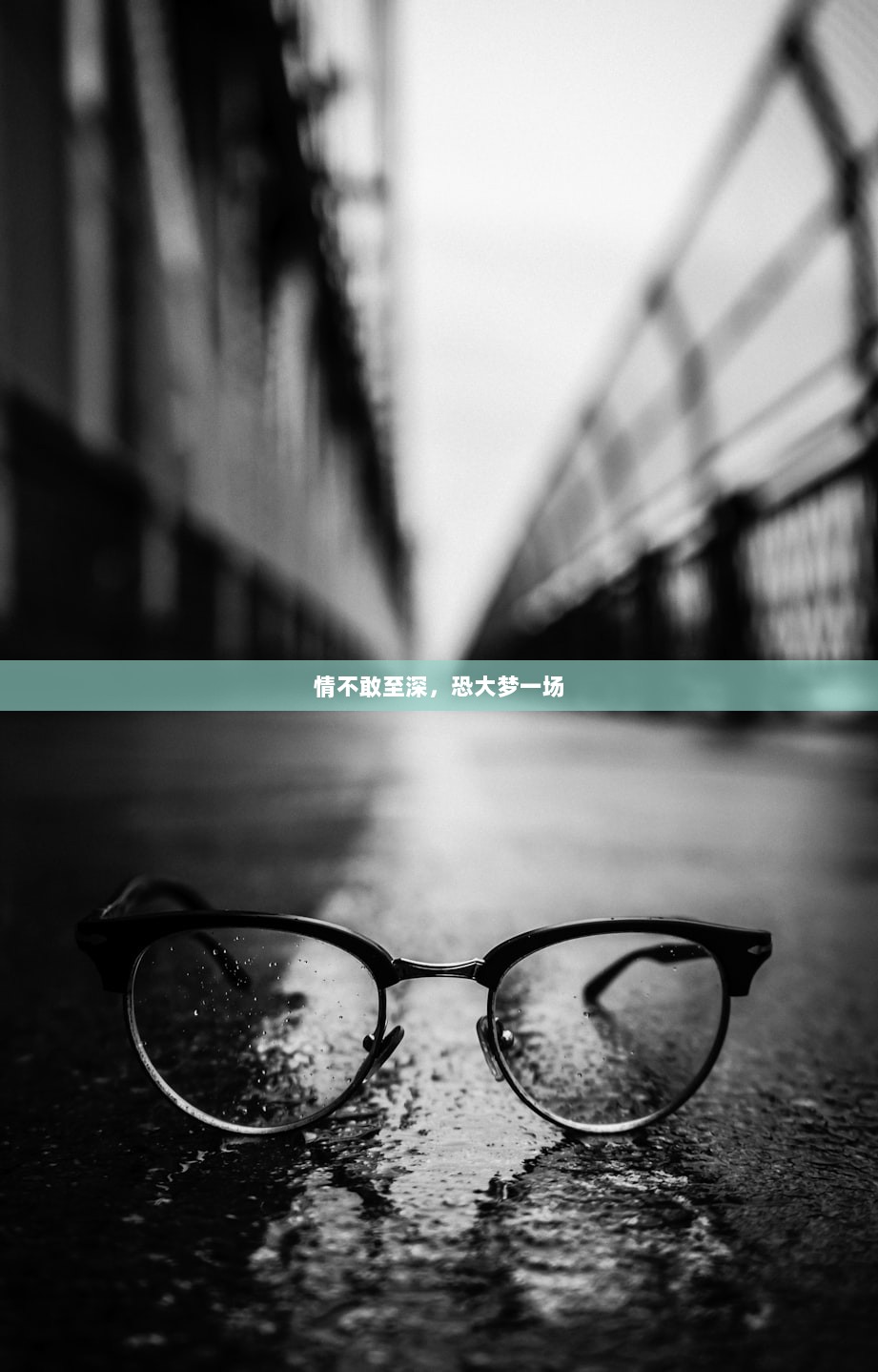 情不敢至深，恐大梦一场