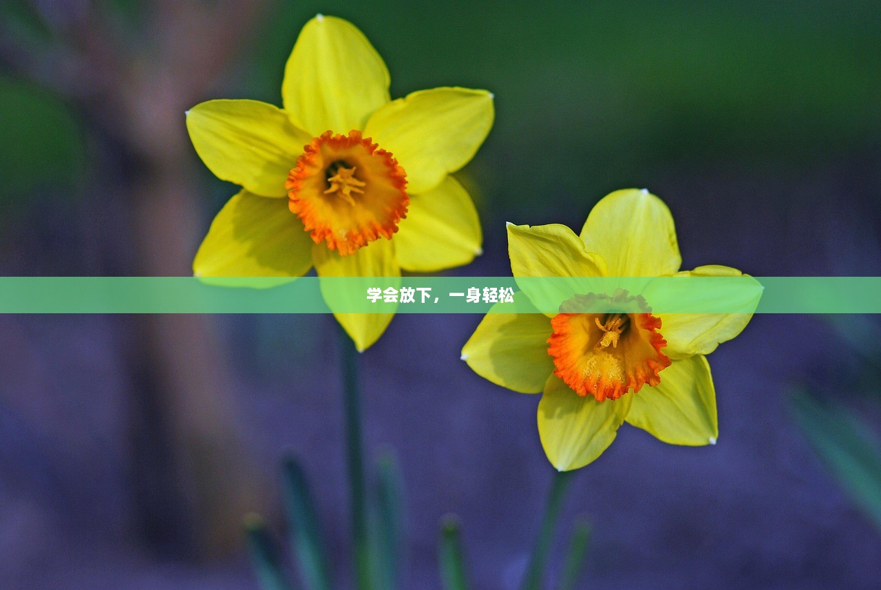 学会放下，一身轻松