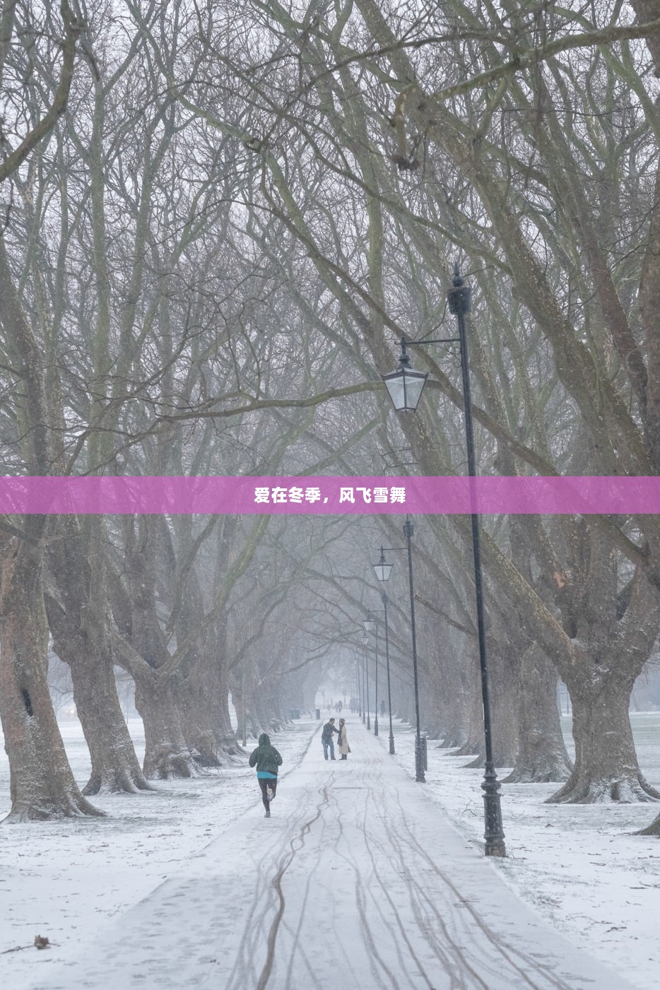 爱在冬季,风飞雪舞 第1张 爱在冬季,风飞雪舞 第1张