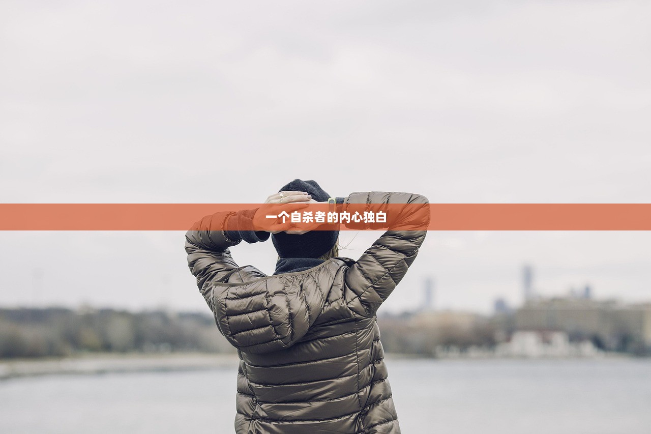 一个自杀者的内心独白  第1张
