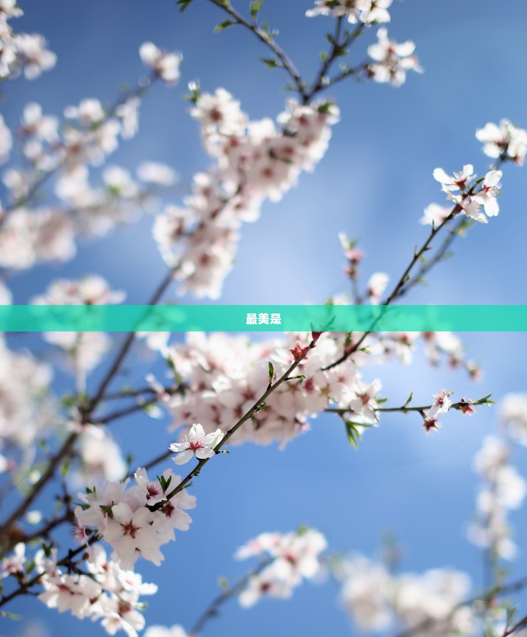 最美是