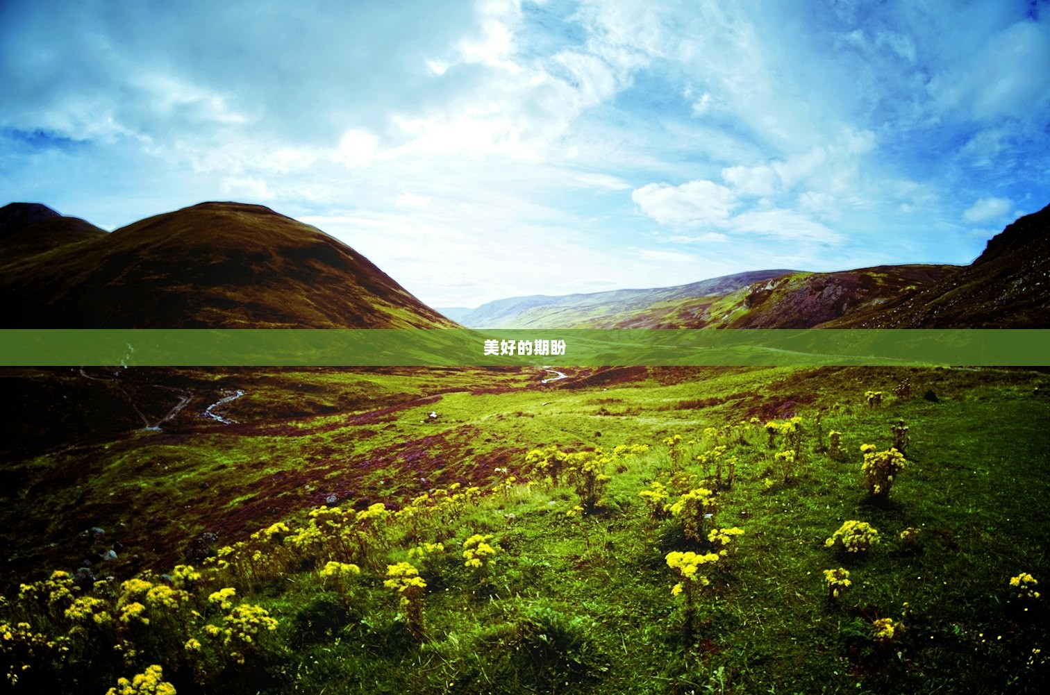 美好的期盼 第1张 美好的期盼 第1张