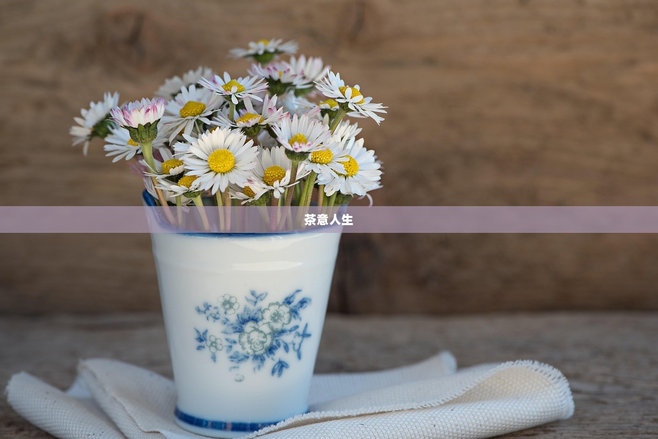 茶意人生 第1张 茶意人生 第1张