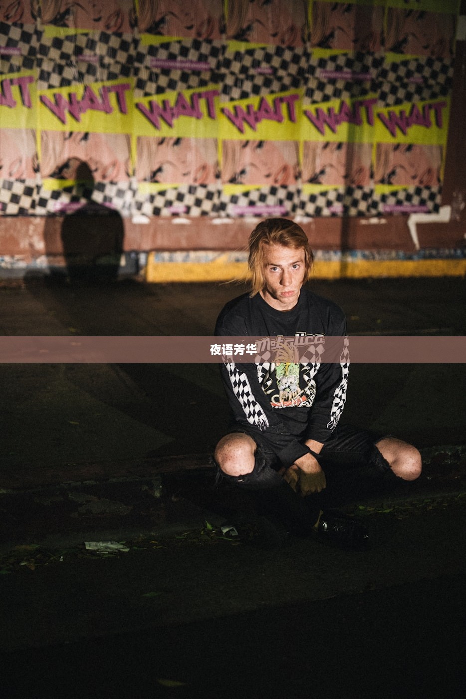 夜语芳华  第1张