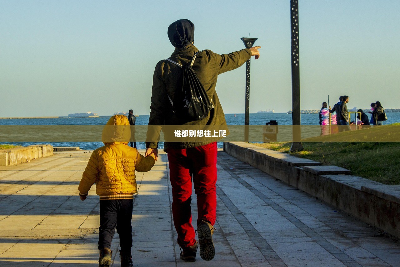 谁都别想往上爬  第1张