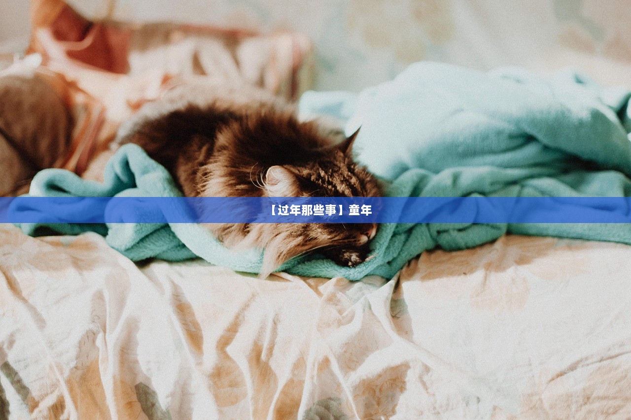 【过年那些事】童年  第1张