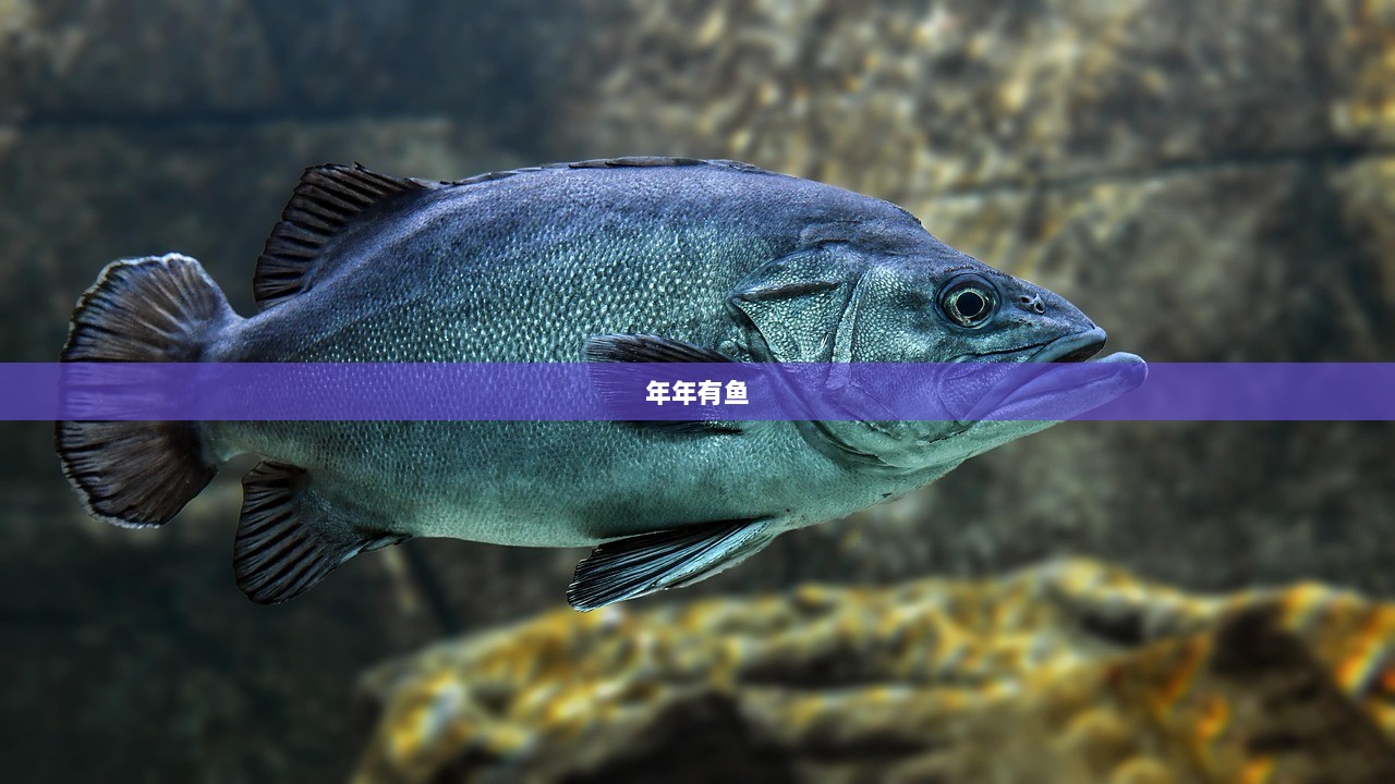 年年有鱼