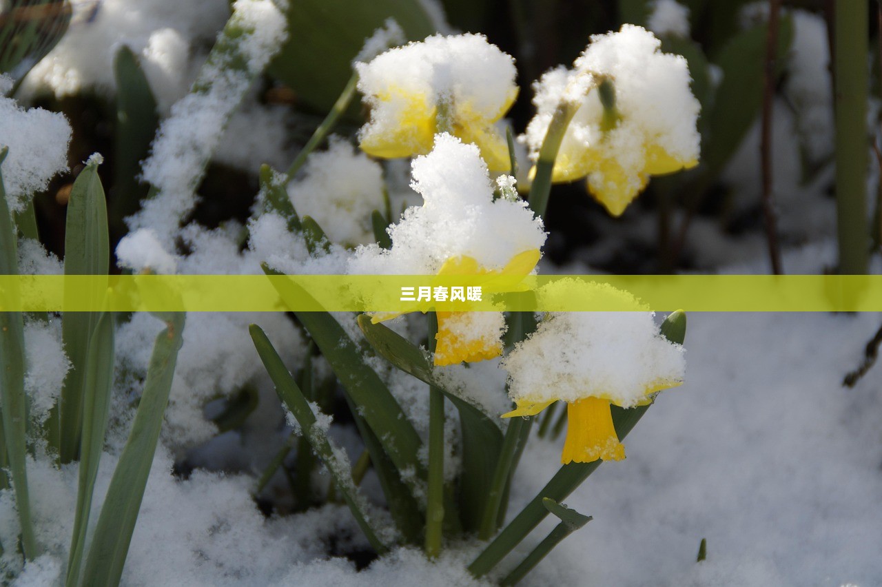 三月春风暖