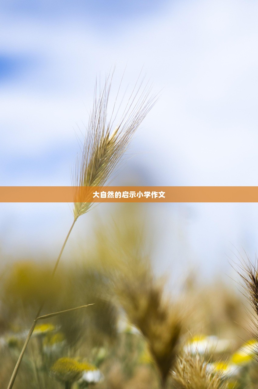 大自然的启示小学作文