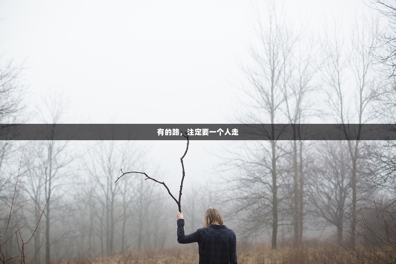 有的路，注定要一个人走