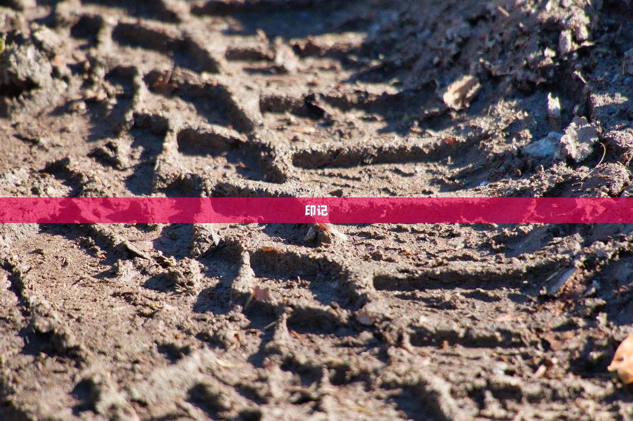 印记 第1张 印记 第1张