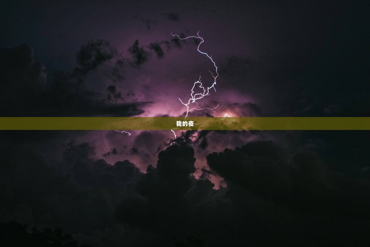 我的夜
