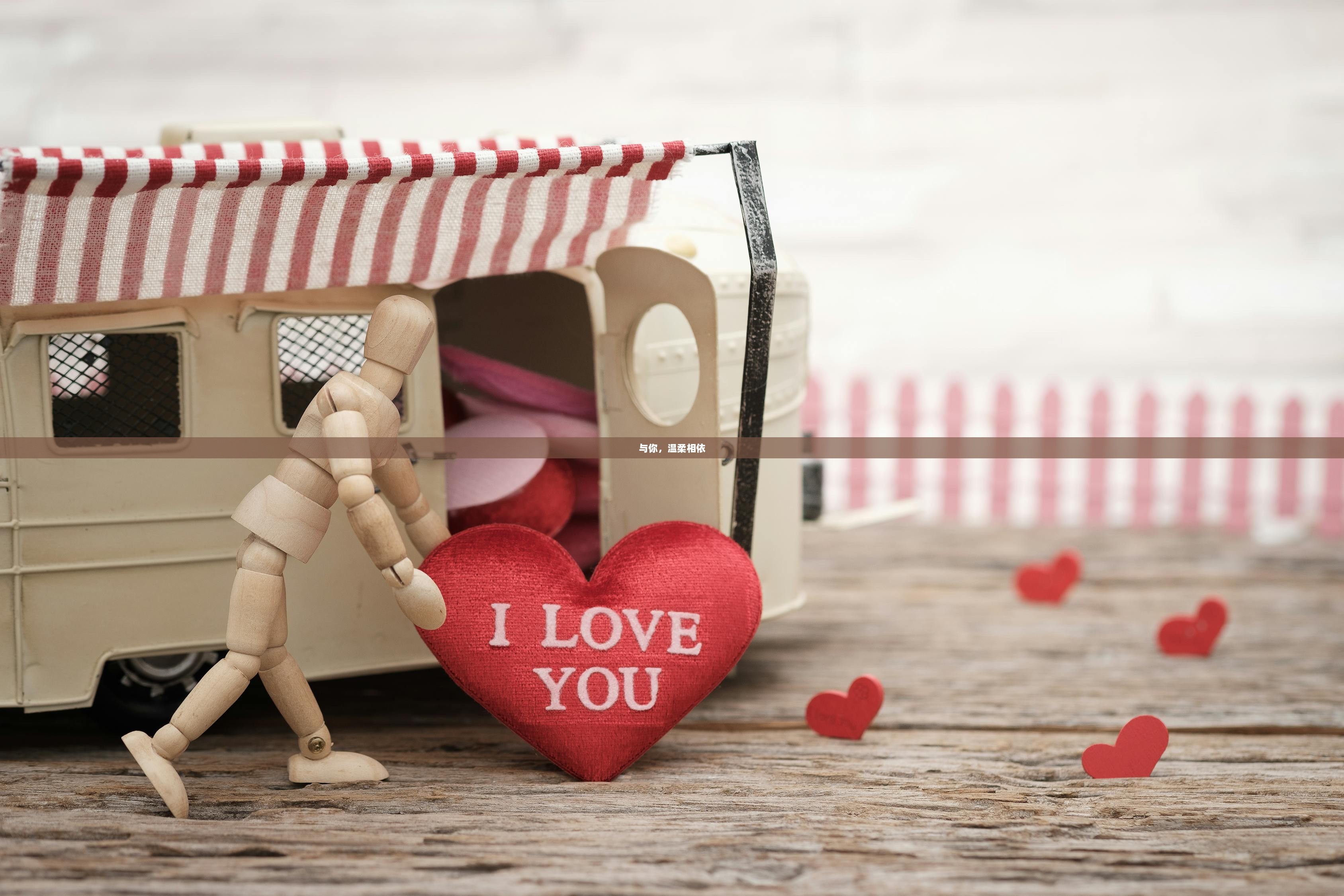 与你，温柔相依  第1张