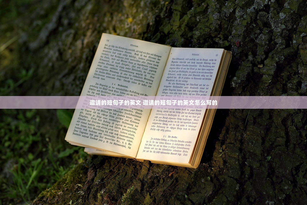 邀请的短句子的英文 邀请的短句子的英文怎么写的  第1张