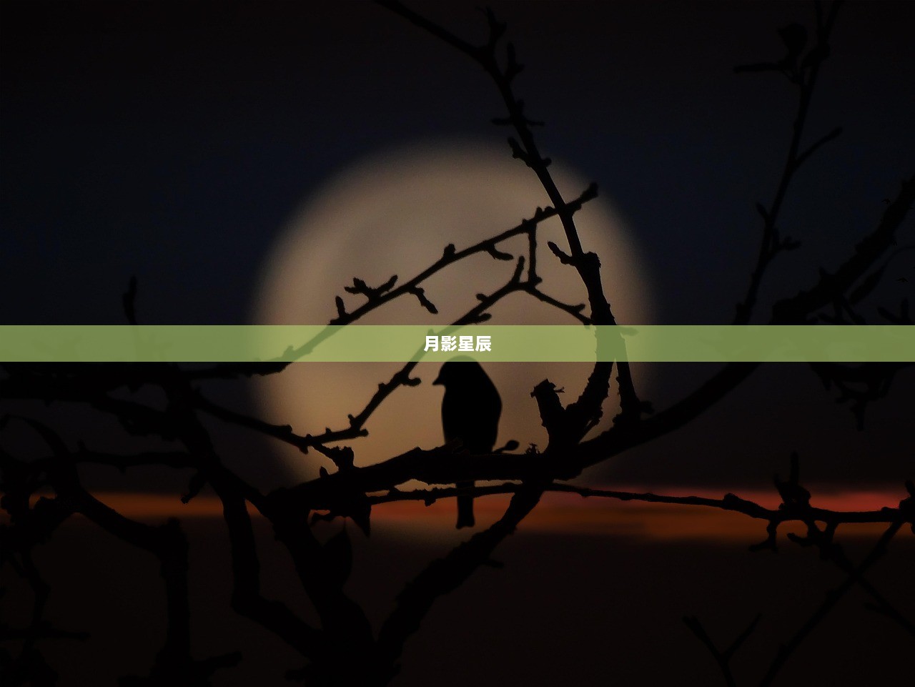 月影星辰