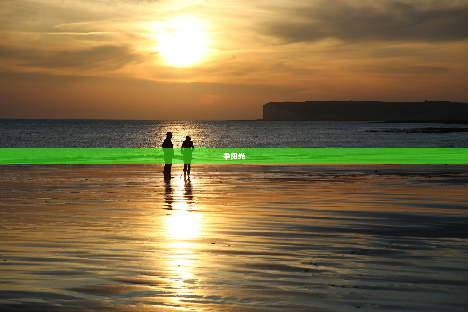 争阳光