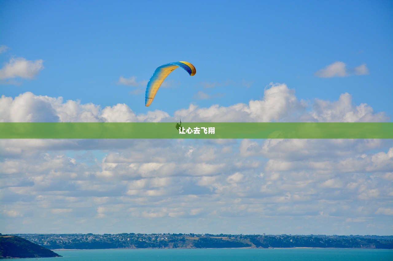 让心去飞翔