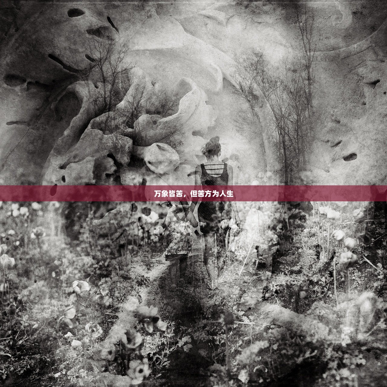 万象皆苦，但苦方为人生