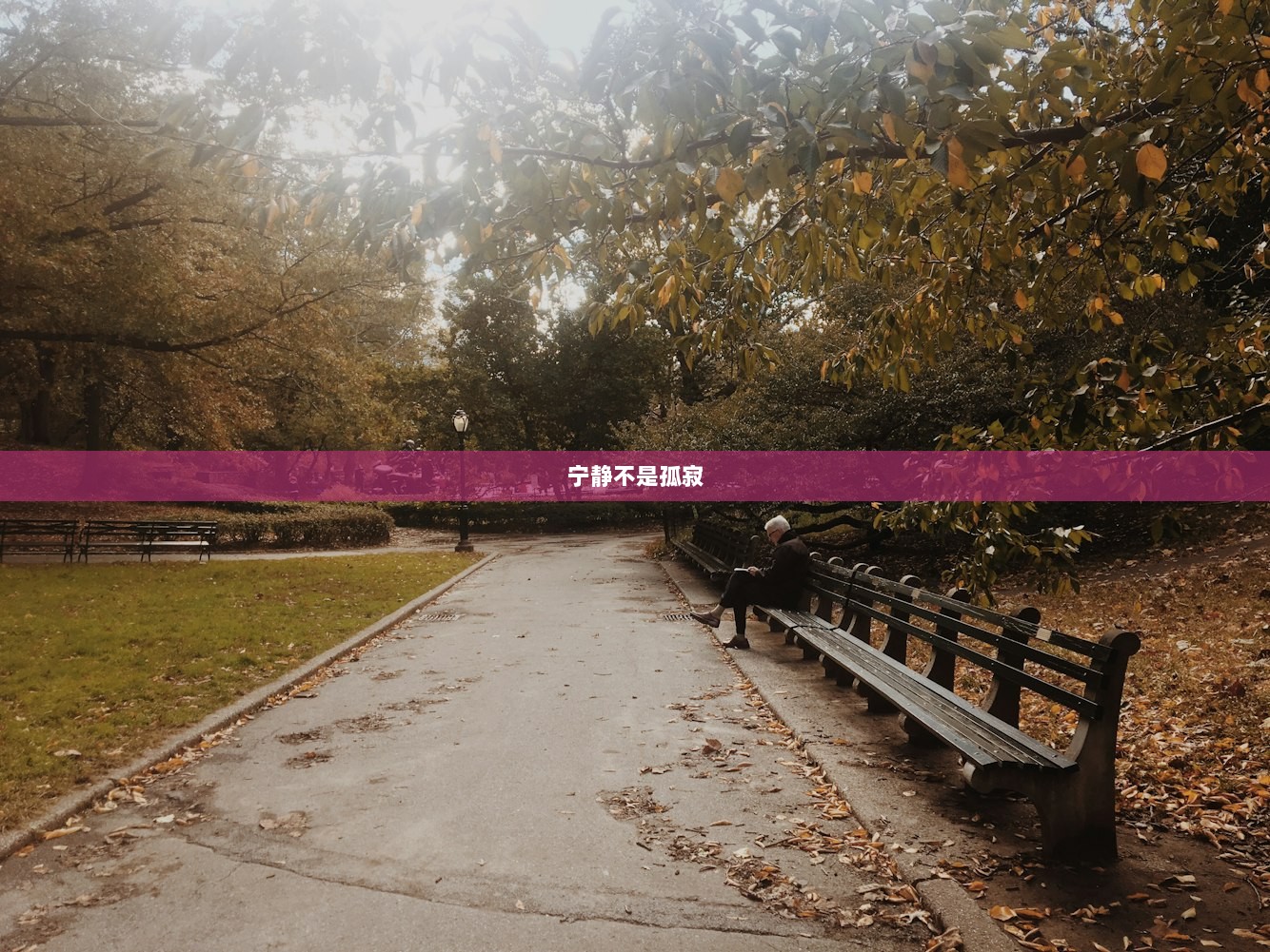 宁静不是孤寂