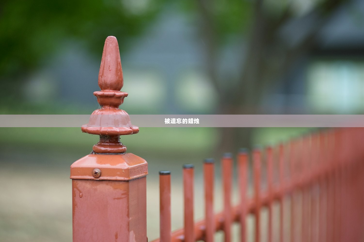 被遗忘的蜡烛