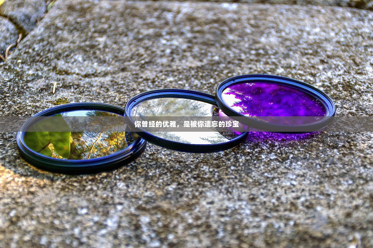 你曾经的优雅，是被你遗忘的珍宝