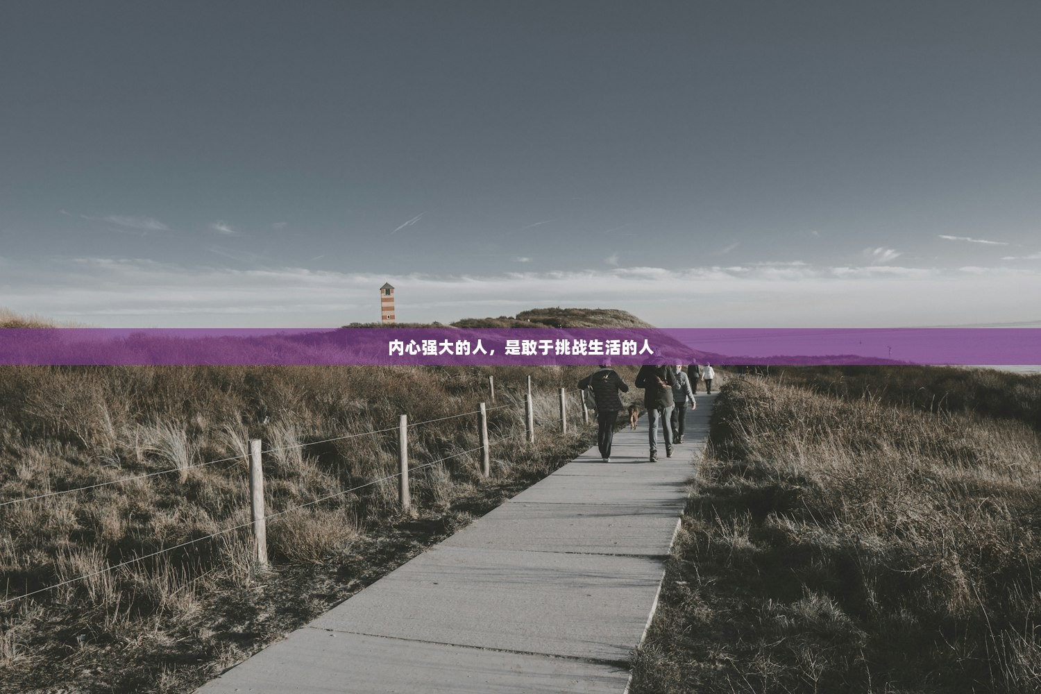 内心强大的人，是敢于挑战生活的人