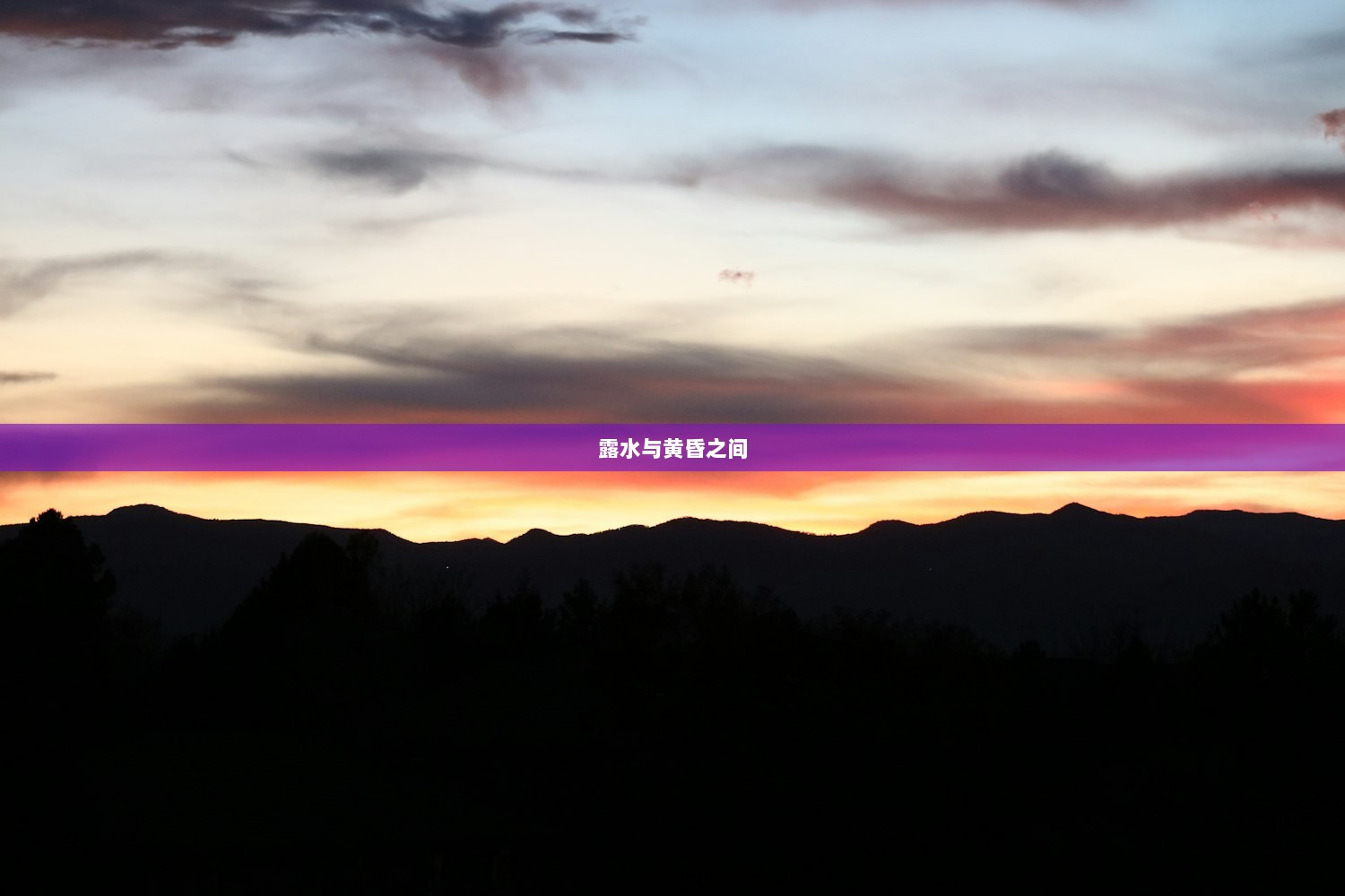 露水与黄昏之间