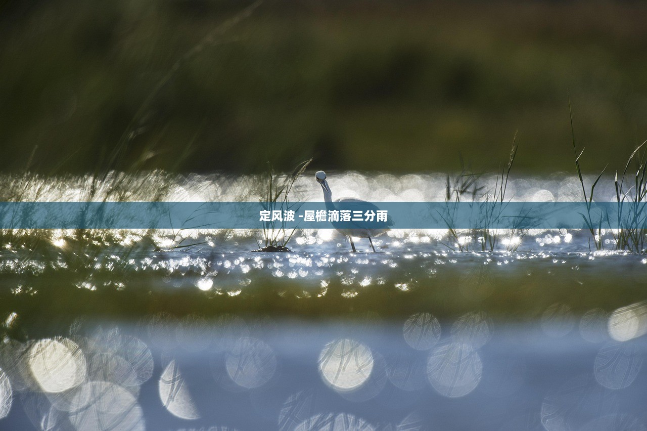 定风波 -屋檐滴落三分雨