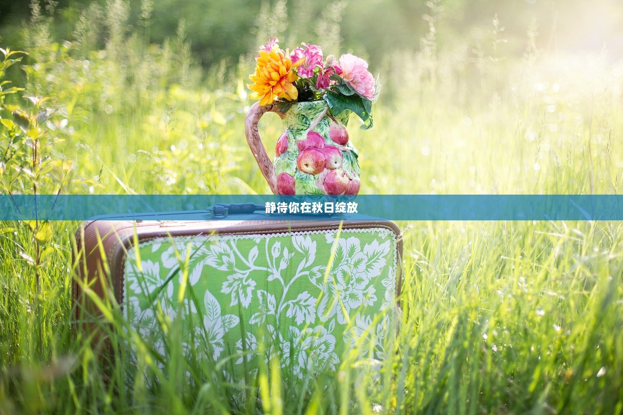 静待你在秋日绽放