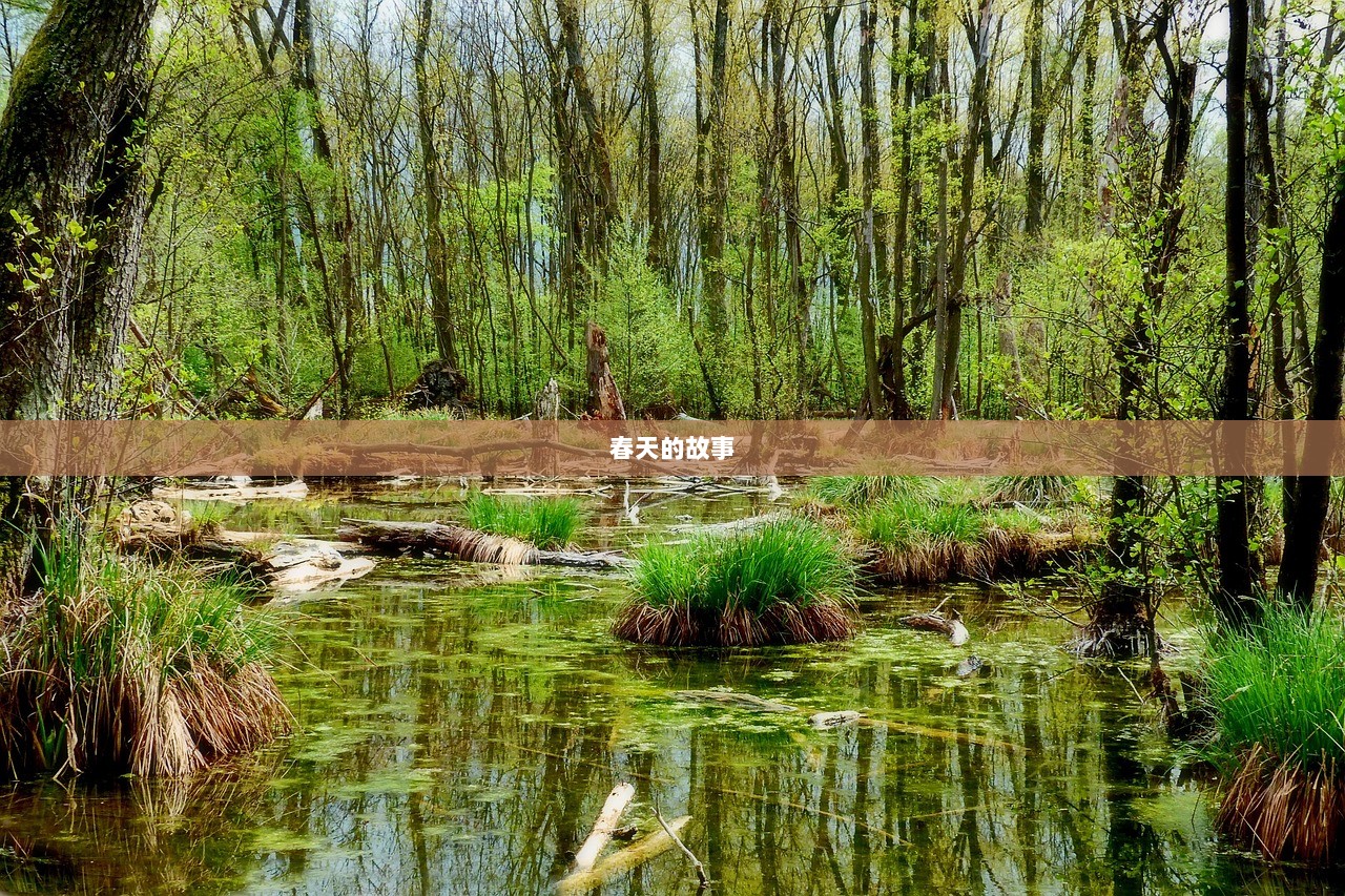 春天的故事