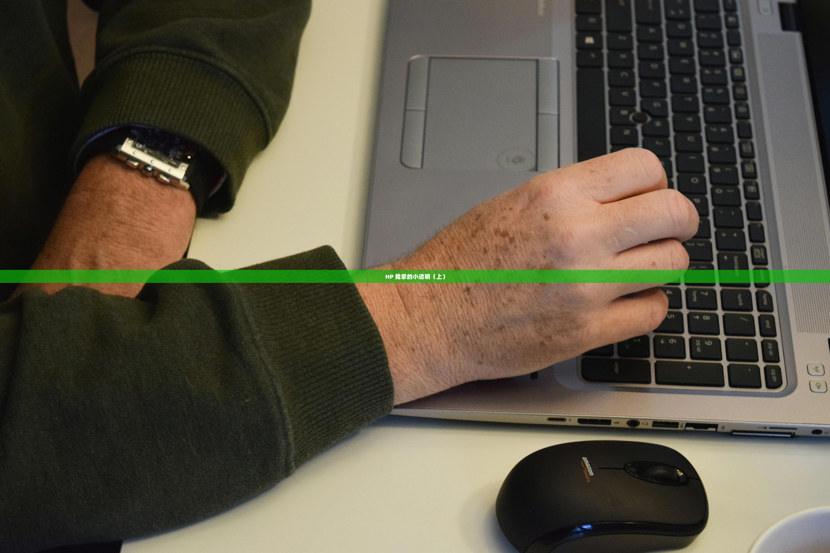 HP 我家的小透明（上）