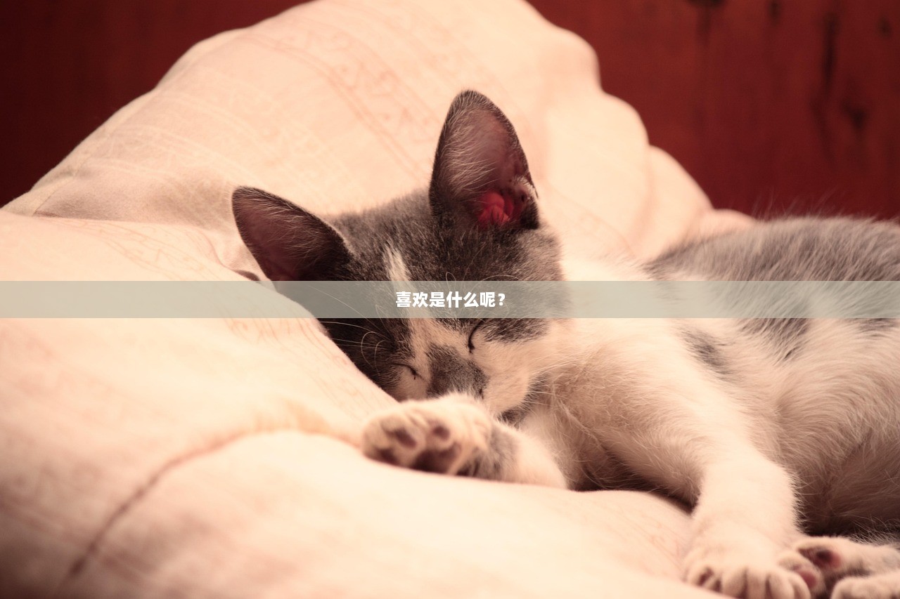 喜欢是什么呢？