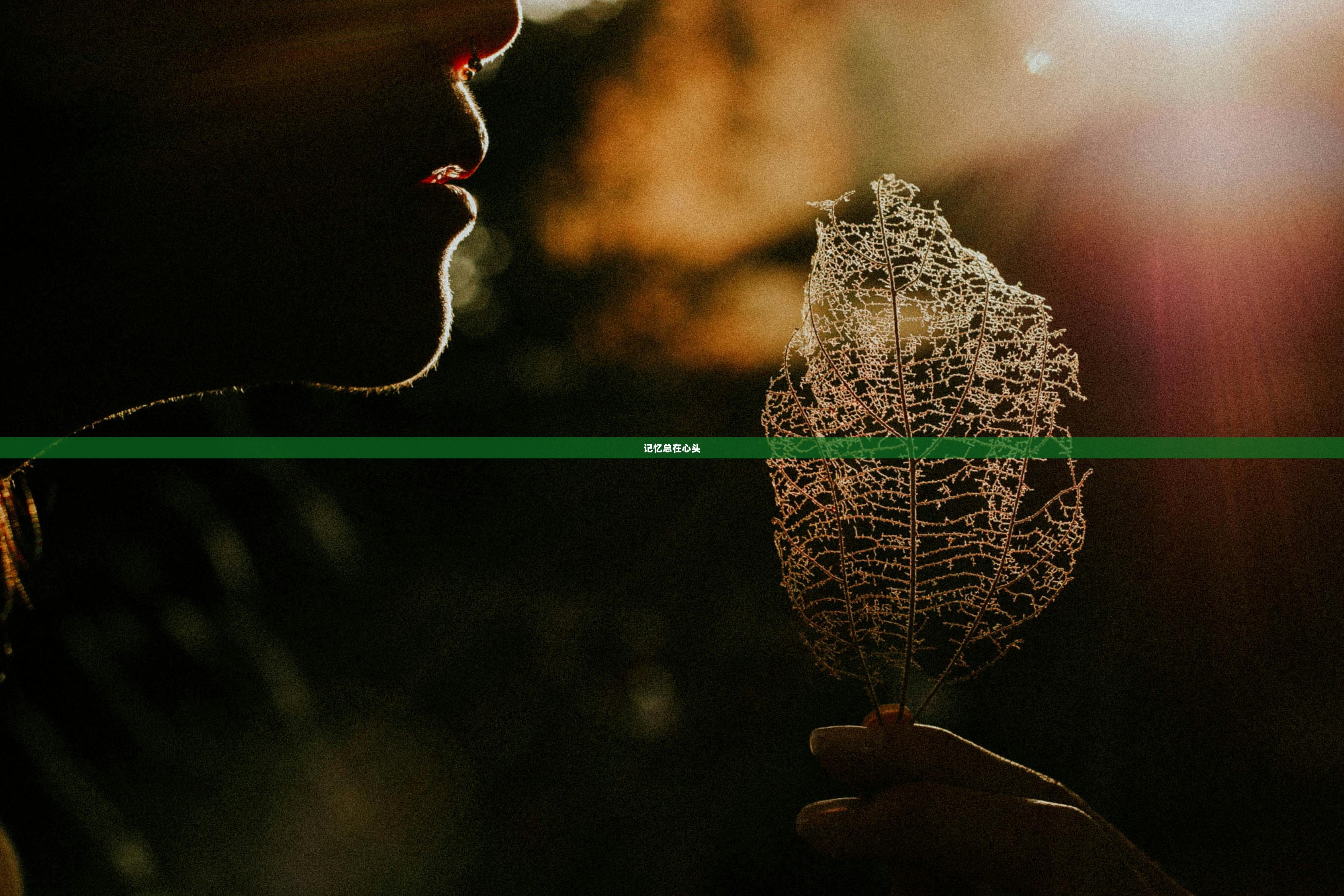 记忆总在心头