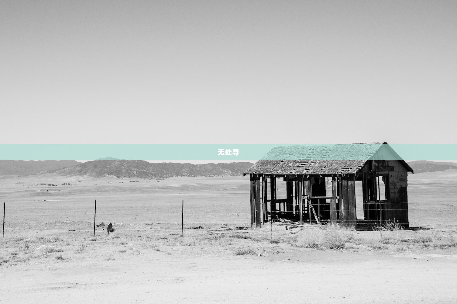 无处寻