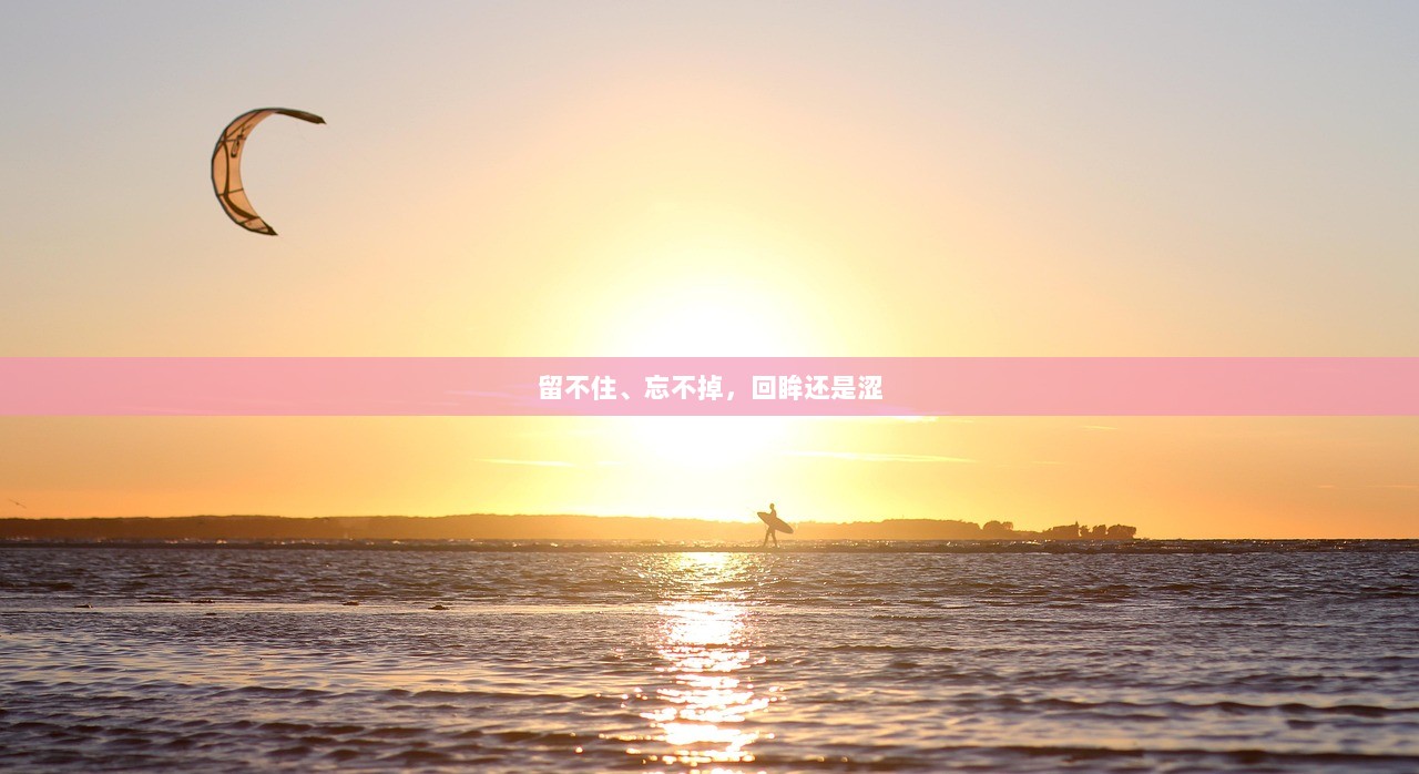 留不住、忘不掉，回眸还是涩  第1张