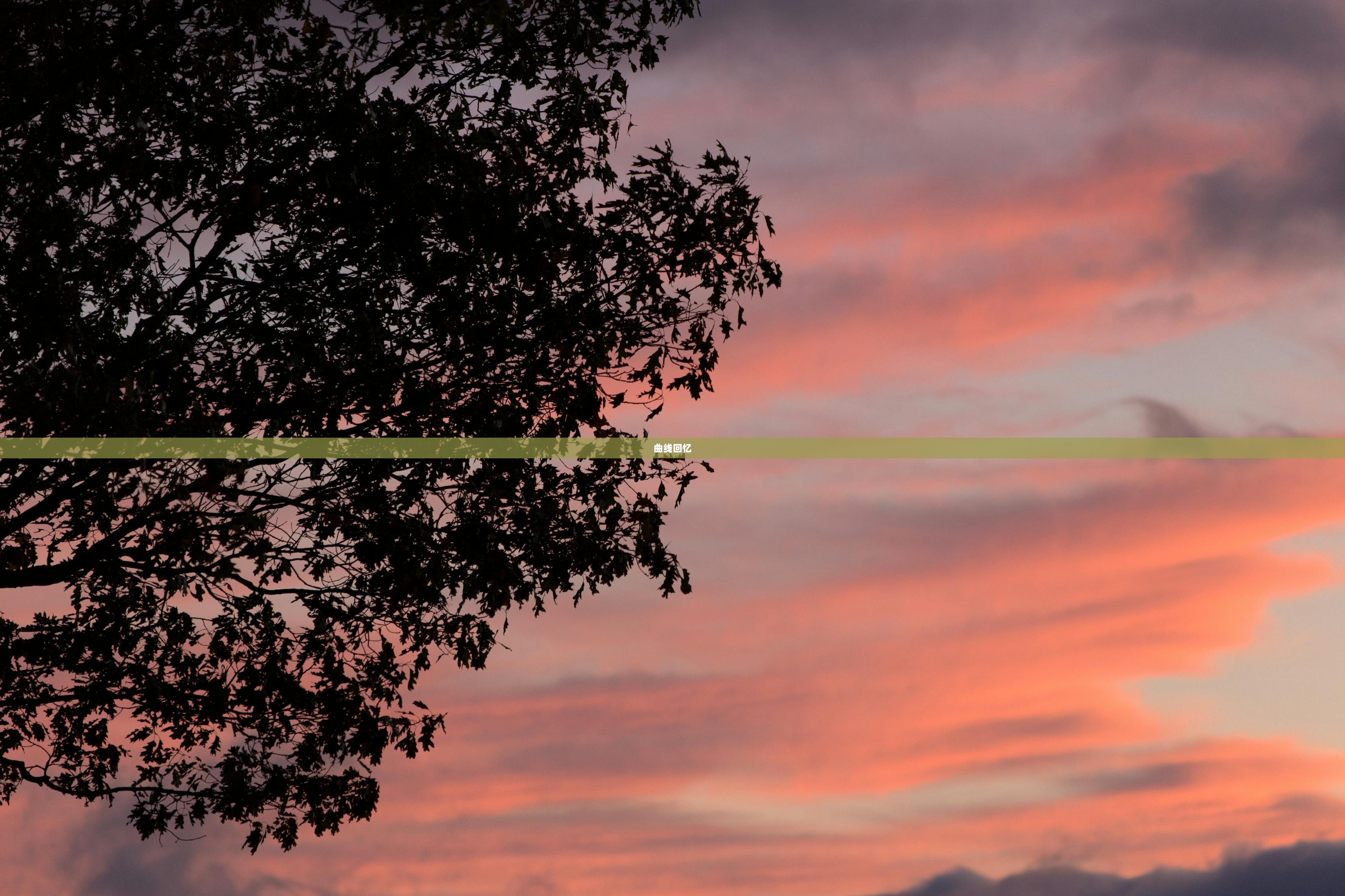曲线回忆