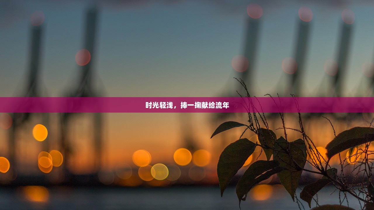 时光轻浅，捧一掬献给流年