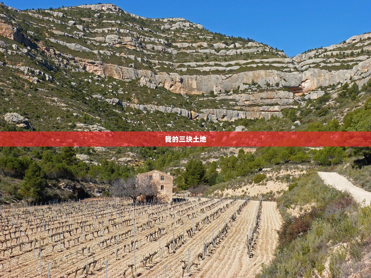 我的三块土地