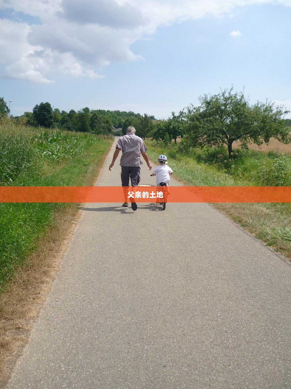 父亲的土地