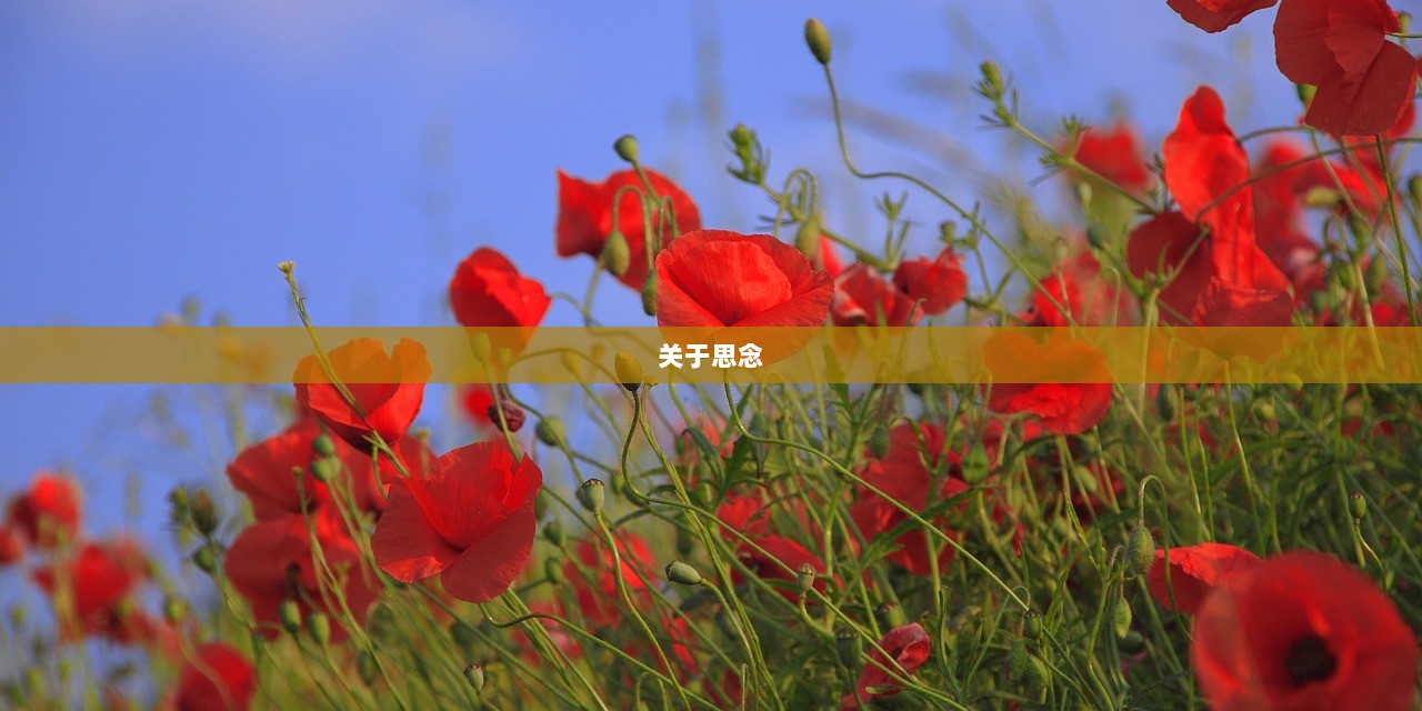 关于思念