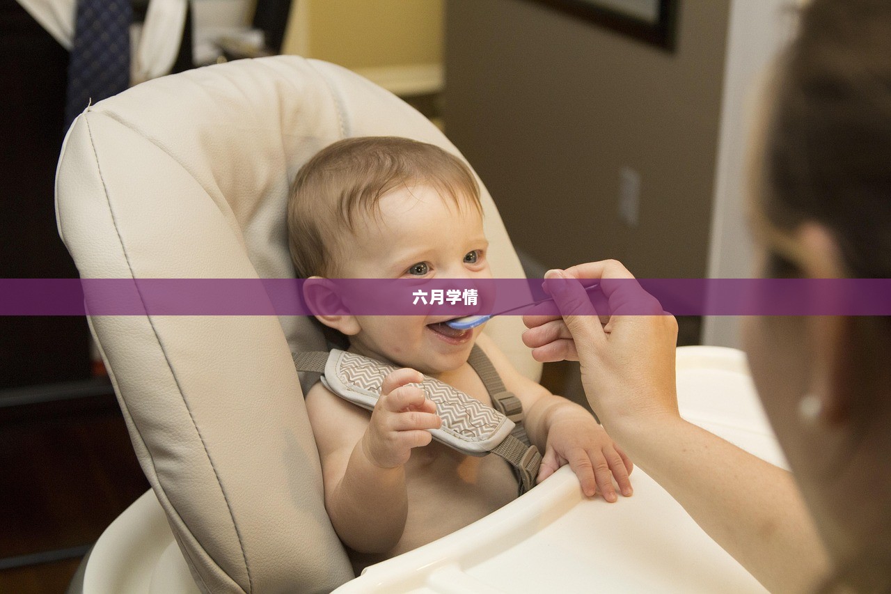 六月学情
