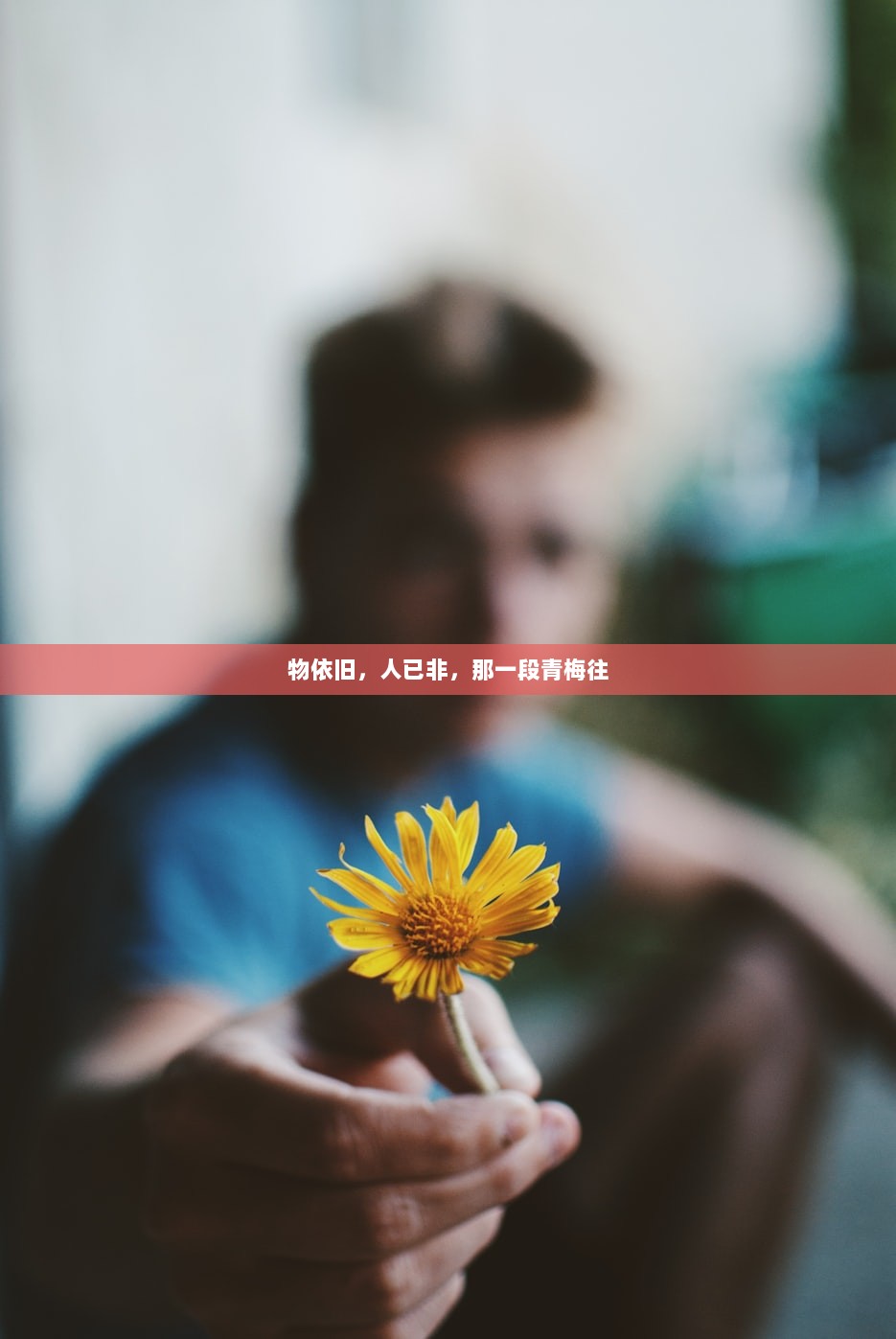 物依旧，人已非，那一段青梅往