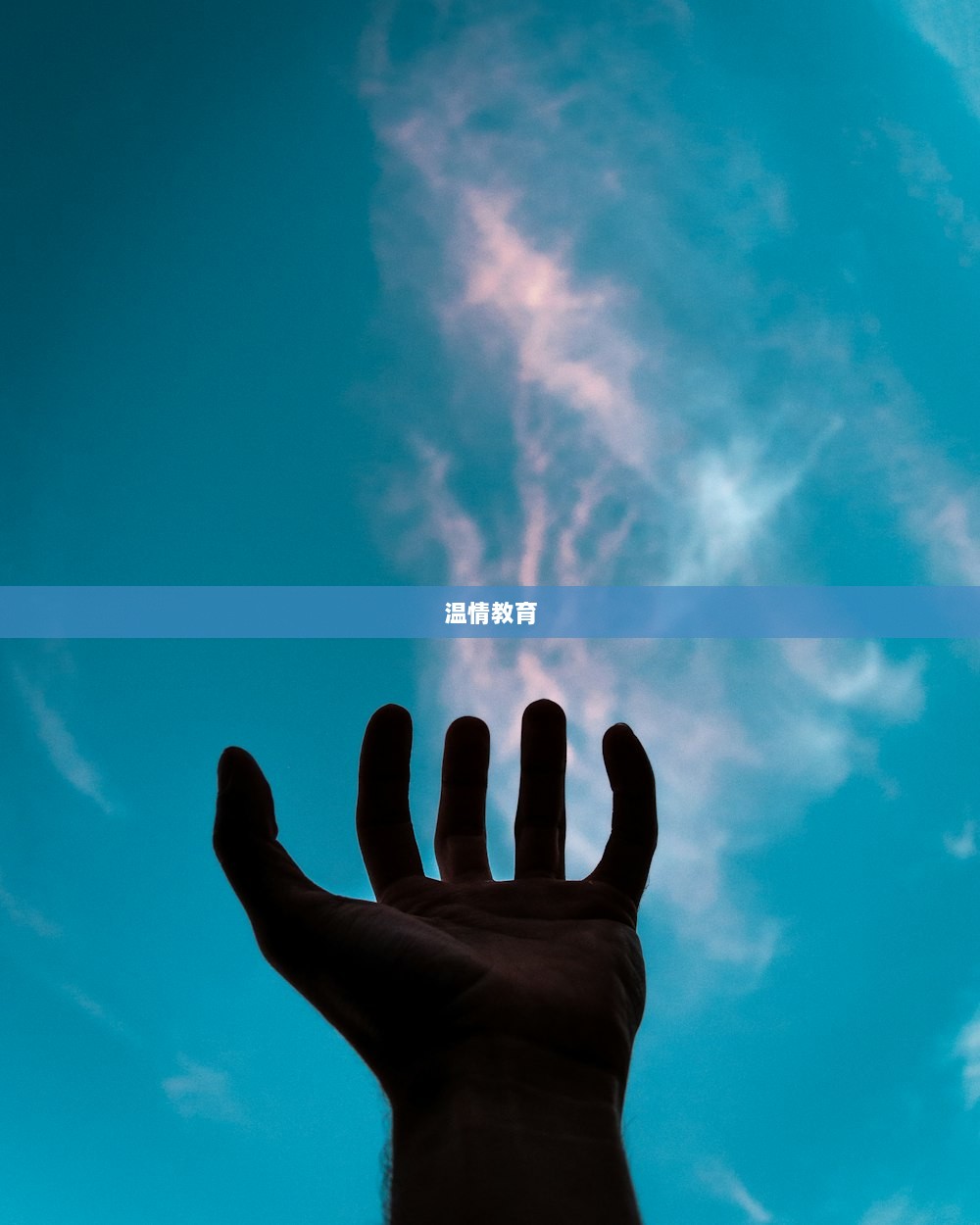 温情教育
