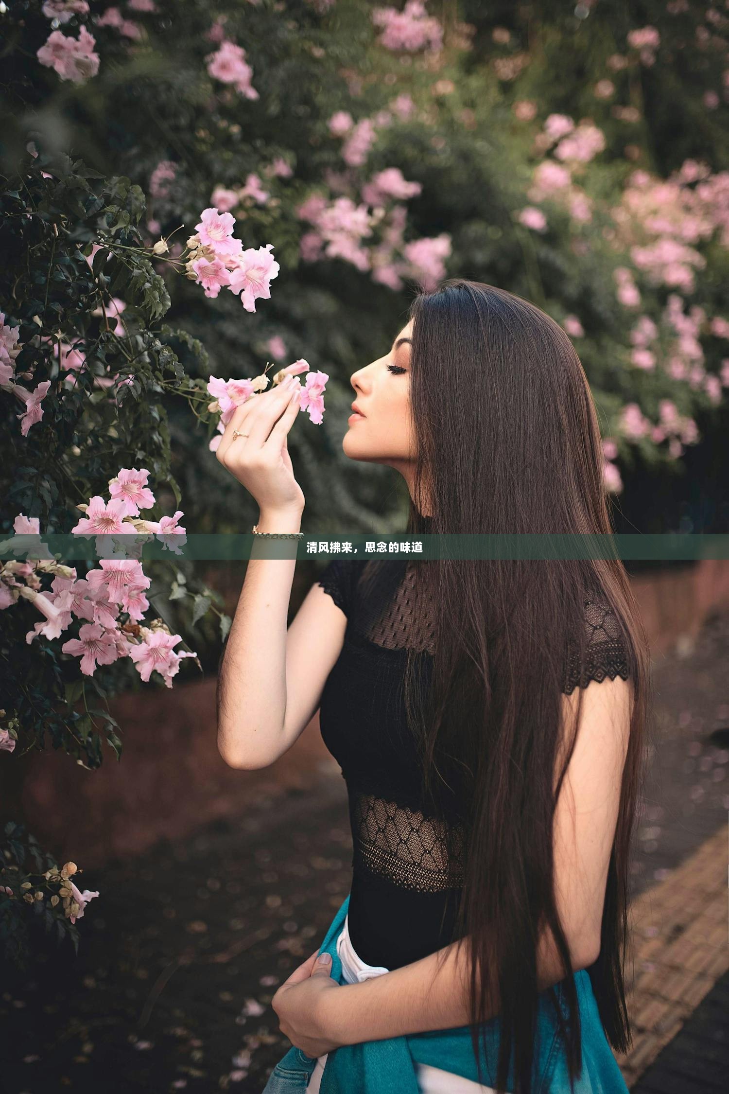 清风拂来，思念的味道