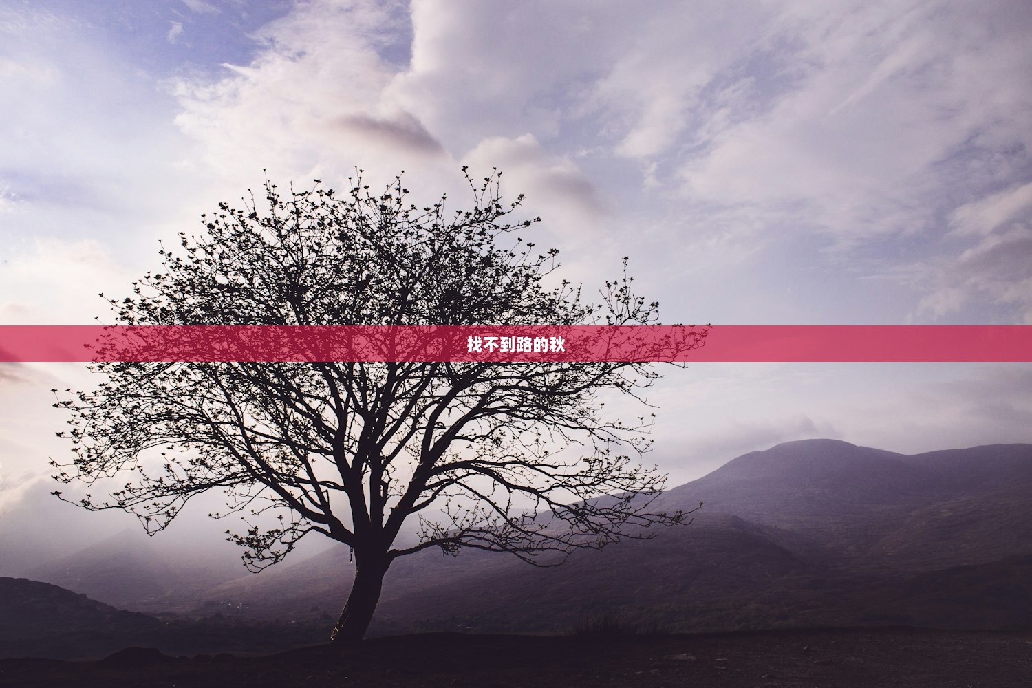 找不到路的秋  第1张