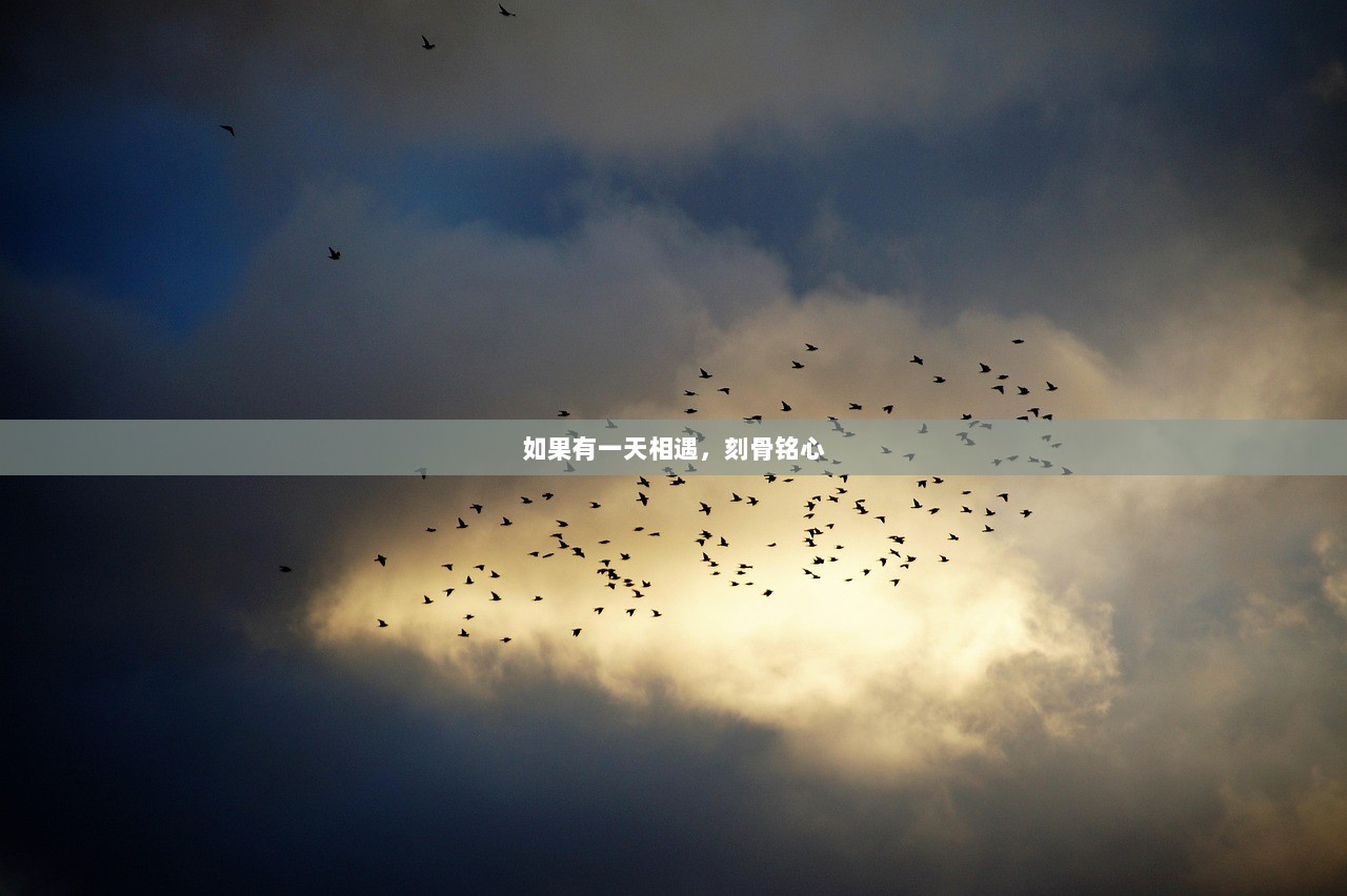 如果有一天相遇，刻骨铭心